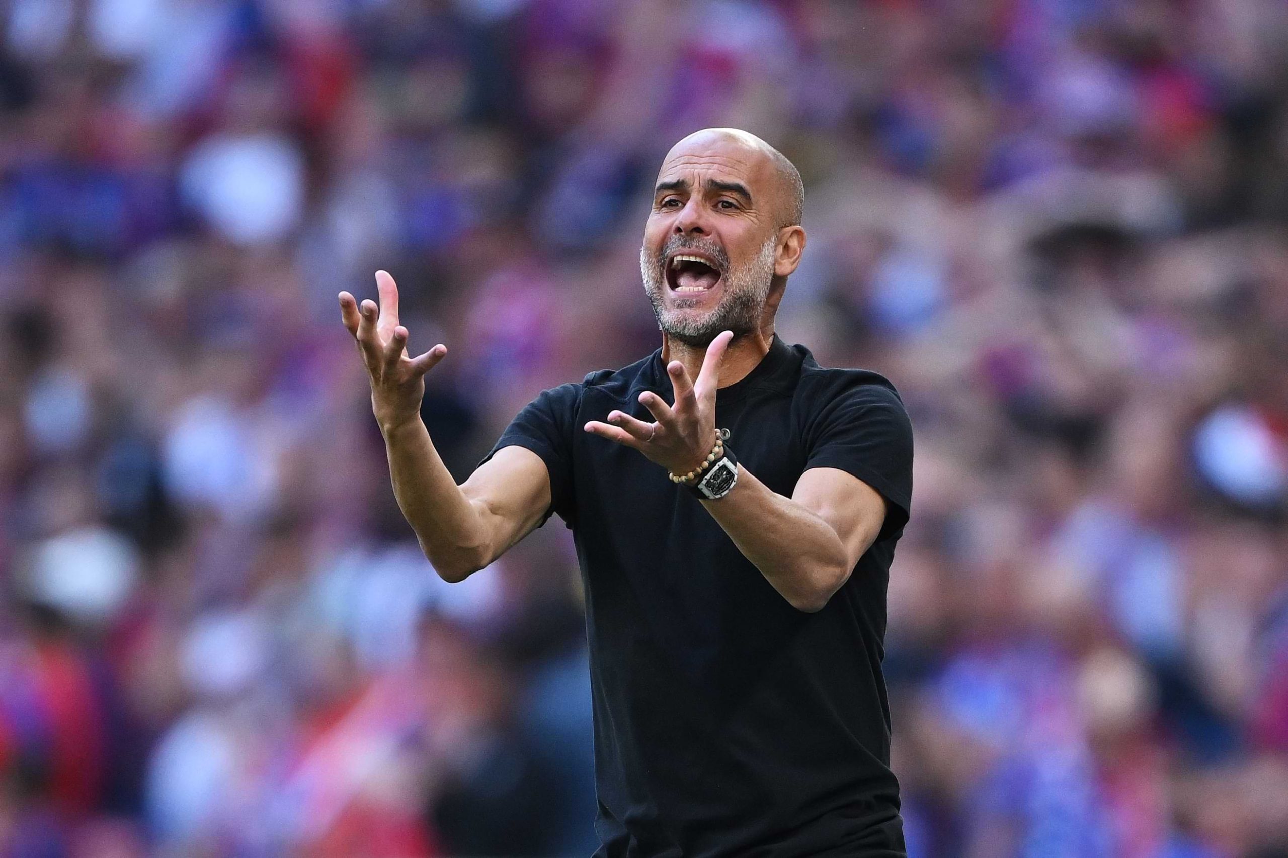 Pep Guardiola